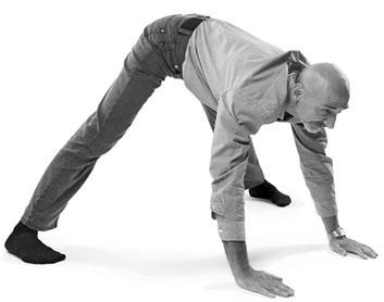 Иллюстрация к книге — Йога. Для тех, у кого «нет времени». Минимум усилий, максимум результата! [i_114.jpg]