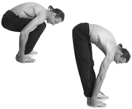 Иллюстрация к книге — Йога. Для тех, у кого «нет времени». Минимум усилий, максимум результата! [i_122.jpg]