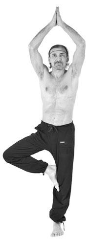 Иллюстрация к книге — Йога. Для тех, у кого «нет времени». Минимум усилий, максимум результата! [i_126.jpg]