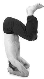 Иллюстрация к книге — Йога. Для тех, у кого «нет времени». Минимум усилий, максимум результата! [i_151.jpg]