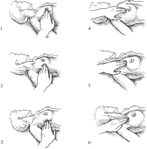 Иллюстрация к книге — Аэробика для груди [_54.jpg]