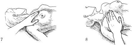 Иллюстрация к книге — Аэробика для груди [_55.jpg]