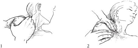 Иллюстрация к книге — Аэробика для груди [_57.jpg]