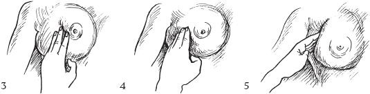 Иллюстрация к книге — Аэробика для груди [_59.jpg]