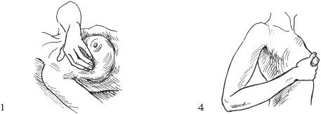 Иллюстрация к книге — Аэробика для груди [_79.jpg]