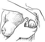 Иллюстрация к книге — Аэробика для груди [_83.jpg]