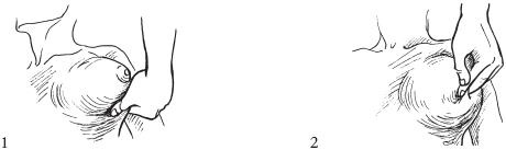 Иллюстрация к книге — Аэробика для груди [_84.jpg]