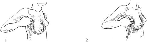 Иллюстрация к книге — Аэробика для груди [_90.jpg]