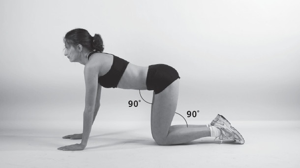 Иллюстрация к книге — Упругие ягодицы. 25 лучших упражнений [i_022.jpg]