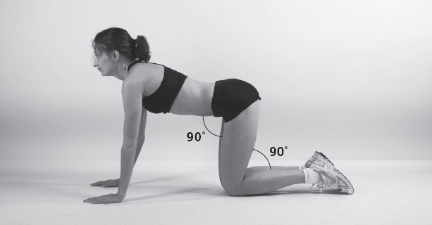 Иллюстрация к книге — Упругие ягодицы. 25 лучших упражнений [i_024.jpg]