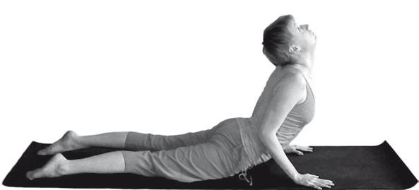 Иллюстрация к книге — Йога. Максимально просто, понятно, наглядно и полезно! [Autogen_eBook_id10.jpg]