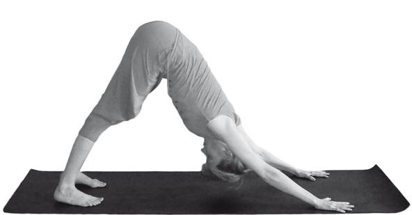 Иллюстрация к книге — Йога. Максимально просто, понятно, наглядно и полезно! [Autogen_eBook_id11.jpg]