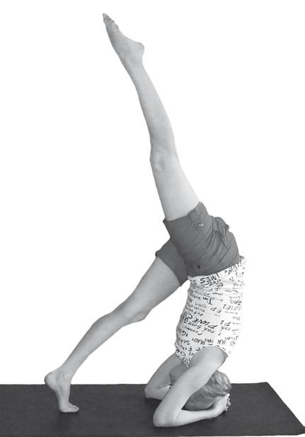 Иллюстрация к книге — Йога. Максимально просто, понятно, наглядно и полезно! [Autogen_eBook_id149.jpg]