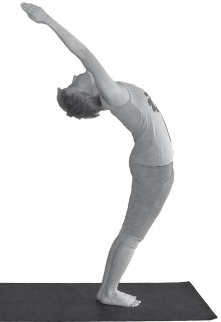 Иллюстрация к книге — Йога. Максимально просто, понятно, наглядно и полезно! [Autogen_eBook_id154.jpg]