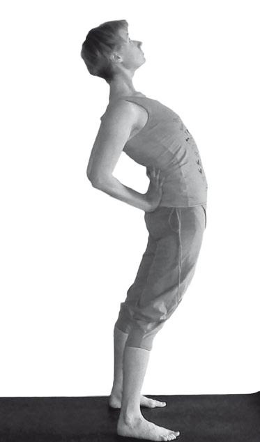 Иллюстрация к книге — Йога. Максимально просто, понятно, наглядно и полезно! [Autogen_eBook_id16.jpg]