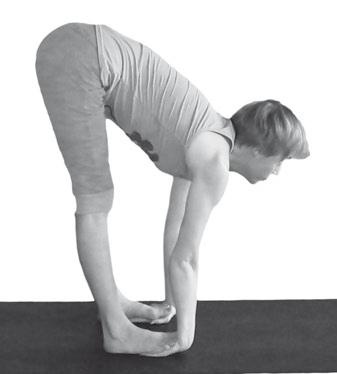 Иллюстрация к книге — Йога. Максимально просто, понятно, наглядно и полезно! [Autogen_eBook_id170.jpg]