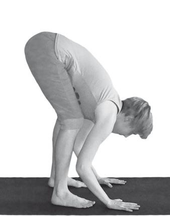 Иллюстрация к книге — Йога. Максимально просто, понятно, наглядно и полезно! [Autogen_eBook_id206.jpg]