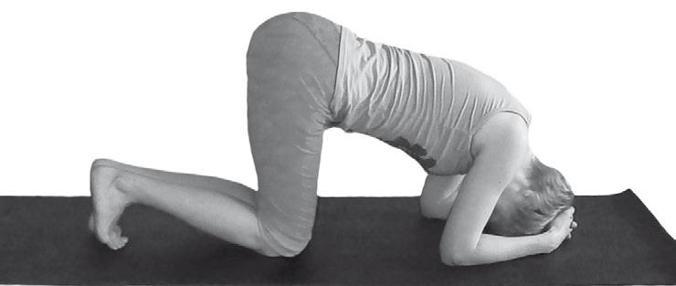 Иллюстрация к книге — Йога. Максимально просто, понятно, наглядно и полезно! [Autogen_eBook_id210.jpg]