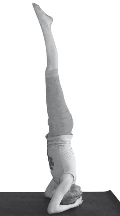 Иллюстрация к книге — Йога. Максимально просто, понятно, наглядно и полезно! [Autogen_eBook_id212.jpg]