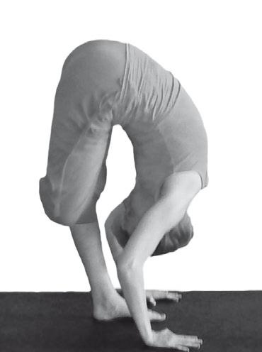 Иллюстрация к книге — Йога. Максимально просто, понятно, наглядно и полезно! [Autogen_eBook_id31.jpg]