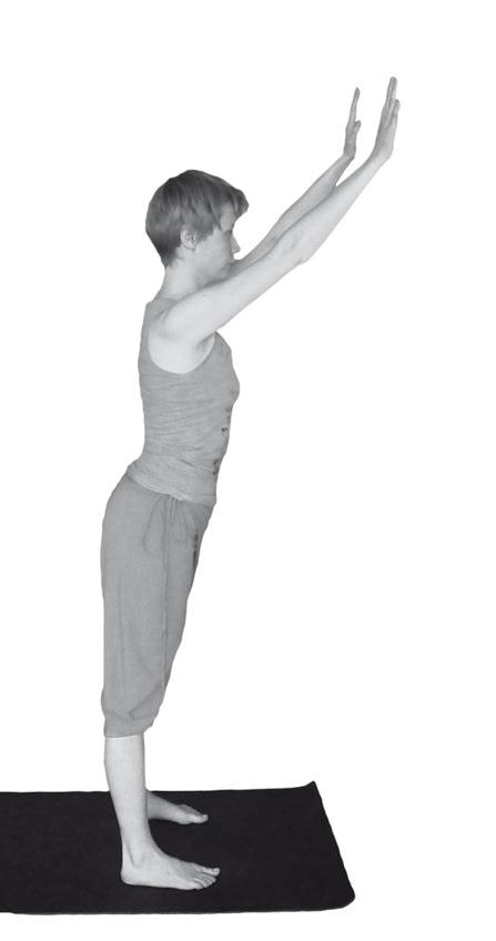 Иллюстрация к книге — Йога. Максимально просто, понятно, наглядно и полезно! [Autogen_eBook_id53.jpg]