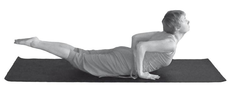 Иллюстрация к книге — Йога. Максимально просто, понятно, наглядно и полезно! [Autogen_eBook_id57.jpg]