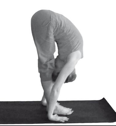 Иллюстрация к книге — Йога. Максимально просто, понятно, наглядно и полезно! [Autogen_eBook_id6.jpg]