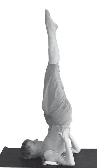 Иллюстрация к книге — Йога. Максимально просто, понятно, наглядно и полезно! [Autogen_eBook_id63.jpg]