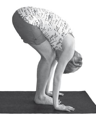 Иллюстрация к книге — Йога. Максимально просто, понятно, наглядно и полезно! [Autogen_eBook_id76.jpg]