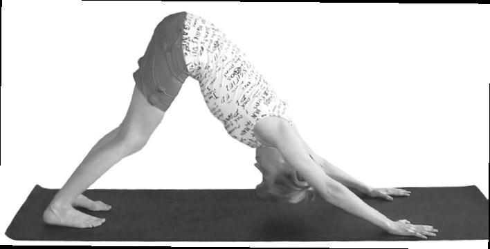 Иллюстрация к книге — Йога. Максимально просто, понятно, наглядно и полезно! [Autogen_eBook_id81.jpg]