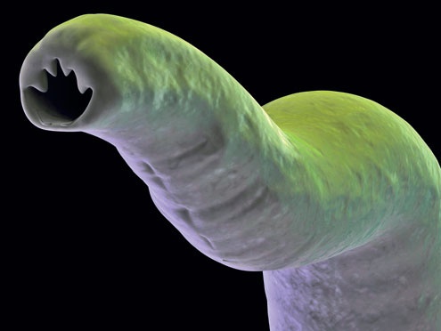 Иллюстрация к книге — Я тебя похудею [i_014.jpg]