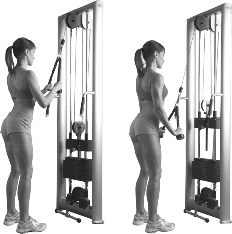 Иллюстрация к книге — Я тебя похудею [i_082.jpg]