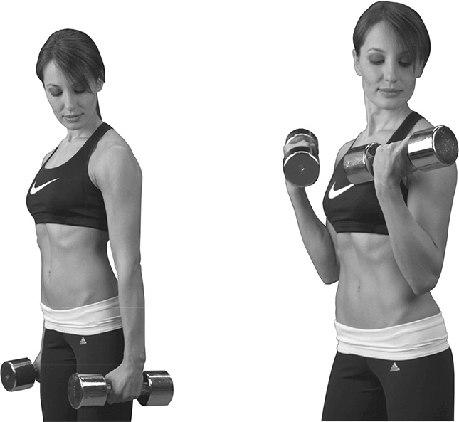 Иллюстрация к книге — Я тебя похудею [i_092.jpg]