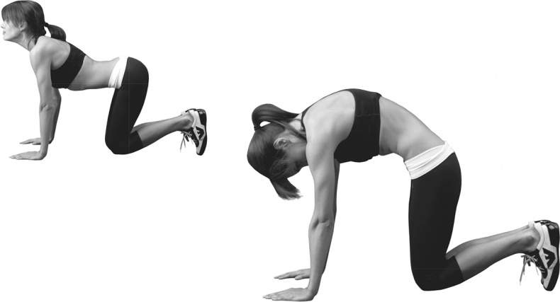 Иллюстрация к книге — Я тебя похудею [i_124.jpg]