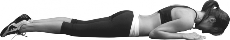 Иллюстрация к книге — Я тебя похудею [i_126.jpg]