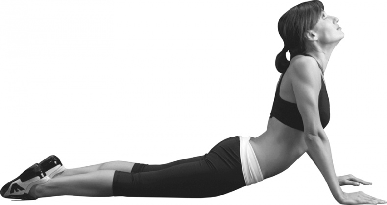 Иллюстрация к книге — Я тебя похудею [i_127.jpg]