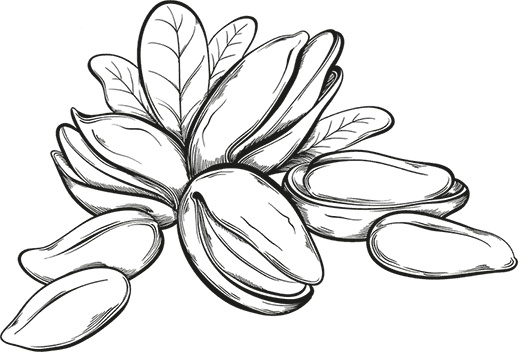 Иллюстрация к книге — Умный дикобраз [i_075.jpg]