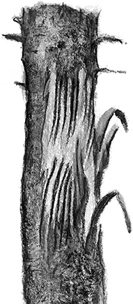 Иллюстрация к книге — Умный дикобраз [i_096.jpg]