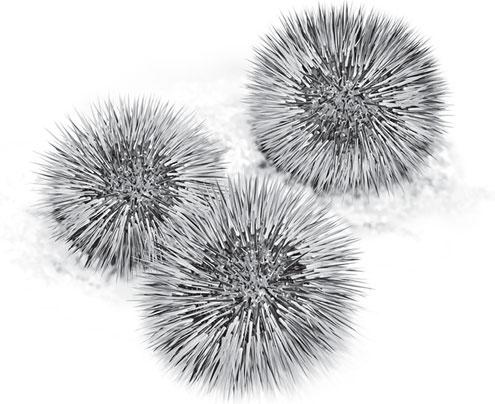 Иллюстрация к книге — Живые домики. С вопросами и ответами для почемучек [_18.jpg]