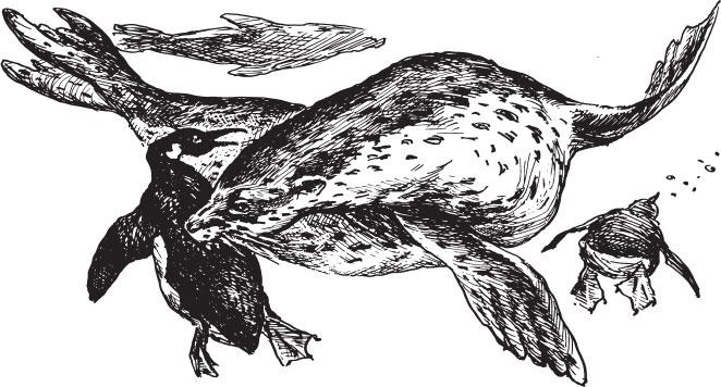 Иллюстрация к книге — Живые домики. С вопросами и ответами для почемучек [_29.jpg]