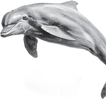 Иллюстрация к книге — Живые домики. С вопросами и ответами для почемучек [_3.jpg]