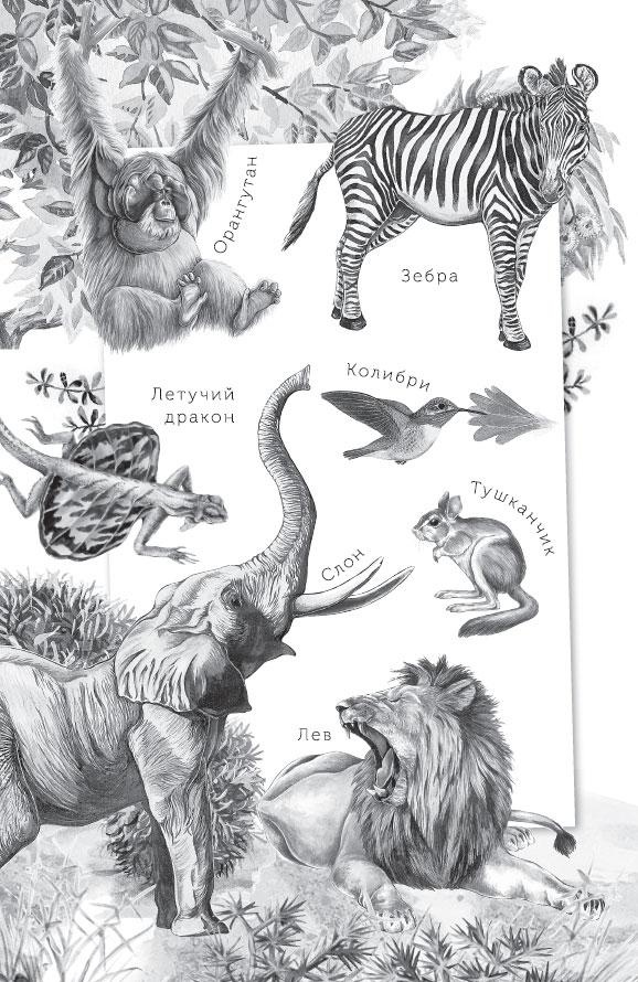 Иллюстрация к книге — Живые домики. С вопросами и ответами для почемучек [_30.jpg]