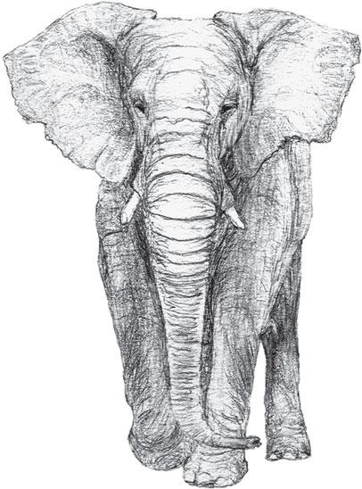 Иллюстрация к книге — Живые домики. С вопросами и ответами для почемучек [_35.jpg]