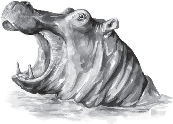 Иллюстрация к книге — Живые домики. С вопросами и ответами для почемучек [_42.jpg]