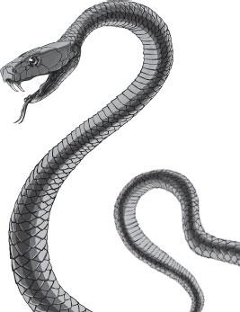 Иллюстрация к книге — Живые домики. С вопросами и ответами для почемучек [_44.jpg]