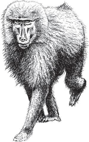 Иллюстрация к книге — Живые домики. С вопросами и ответами для почемучек [_46.jpg]