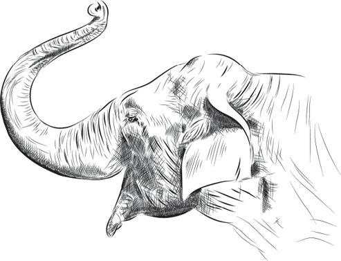 Иллюстрация к книге — Живые домики. С вопросами и ответами для почемучек [_47.jpg]