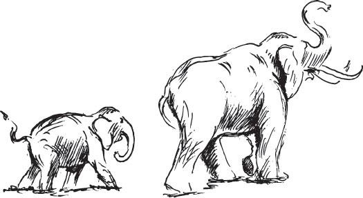 Иллюстрация к книге — Живые домики. С вопросами и ответами для почемучек [_48.jpg]