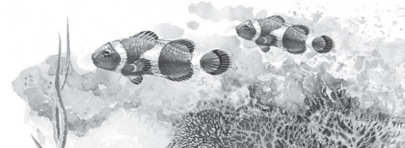 Иллюстрация к книге — Живые домики. С вопросами и ответами для почемучек [_5.jpg]