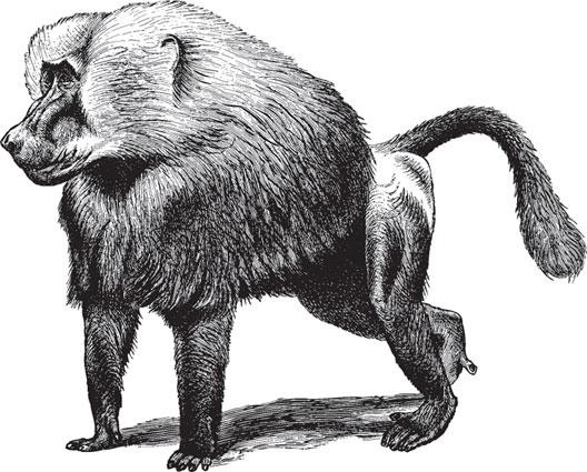 Иллюстрация к книге — Живые домики. С вопросами и ответами для почемучек [_51.jpg]